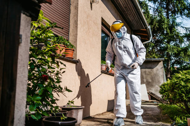 Best Bed Bug Extermination  in Horton, KS