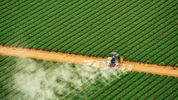 Professional Pest Control in Horton, KS