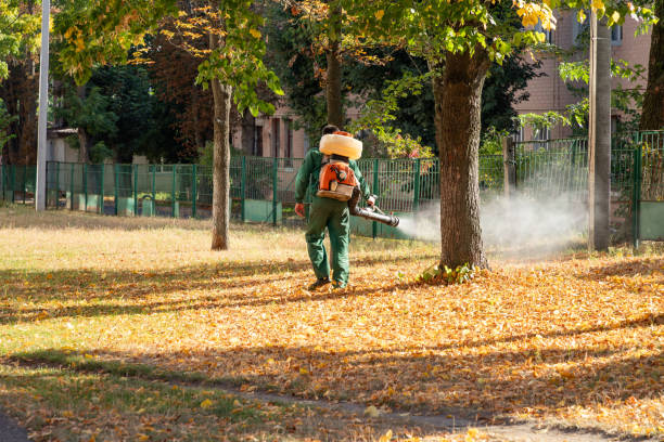 Best Flea Control Services  in Horton, KS