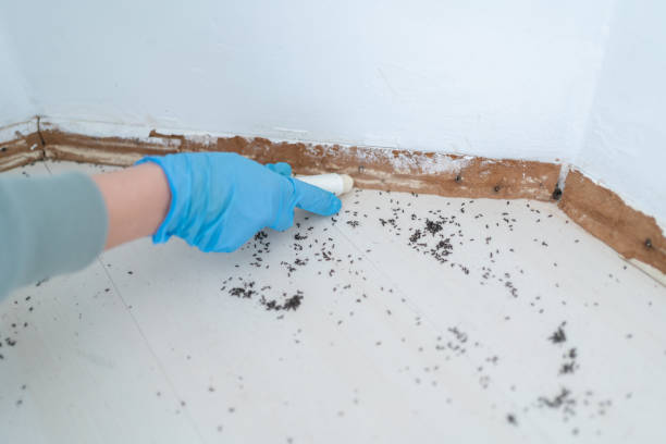 Best Emergency Pest Control  in Horton, KS
