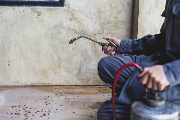 Best Mosquito Control Services  in Horton, KS